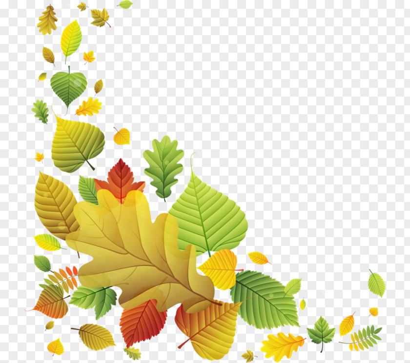 Flower Series Image Autumn Clip Art Leaf PNG