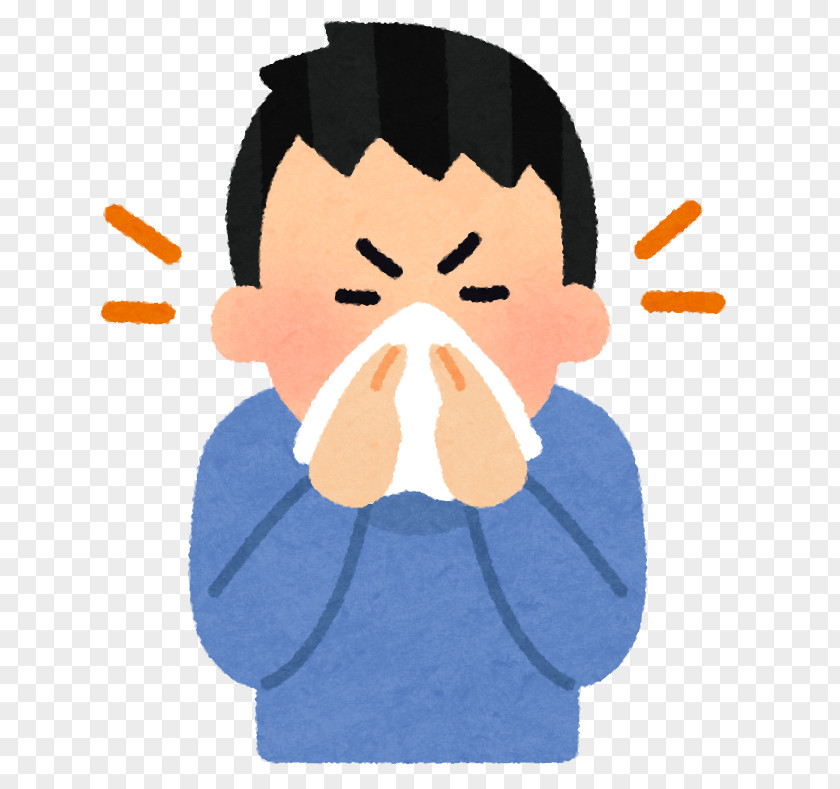 Nose Sinus Infection Paranasal Sinuses Caccola Nasal Congestion PNG