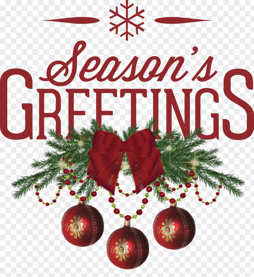 Seasons Greetings Christmas Winter PNG