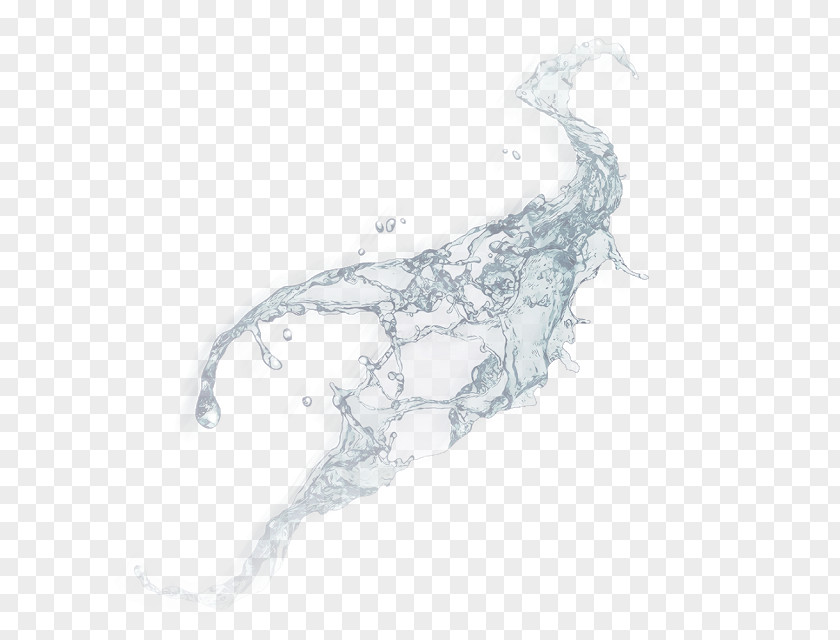 Water Drawing /m/02csf Organism PNG