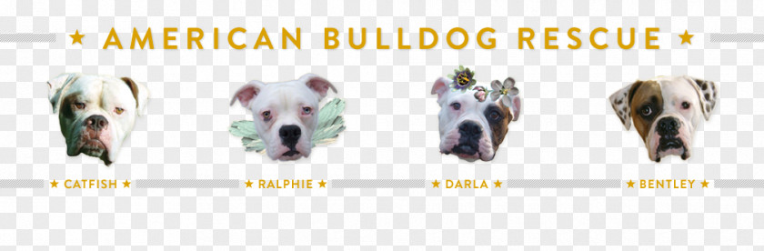 American Bulldog Dog Breed Shoe PNG