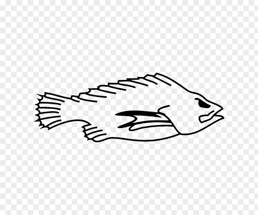 Aquatic Creatures Koi Tattoo Siamese Fighting Fish Clip Art PNG