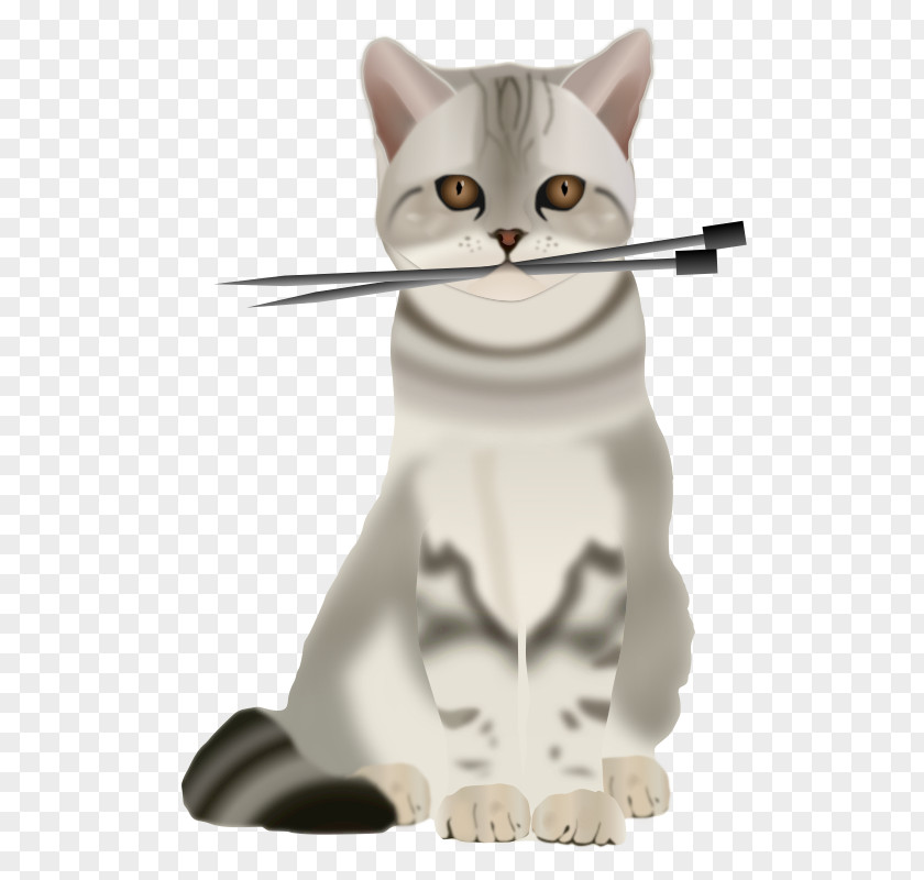 Big Cat Persian Knitting Needle Kitten Clip Art PNG