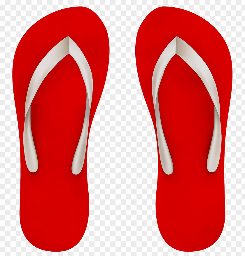 Flip-flops Vector Graphics Clip Art Image PNG