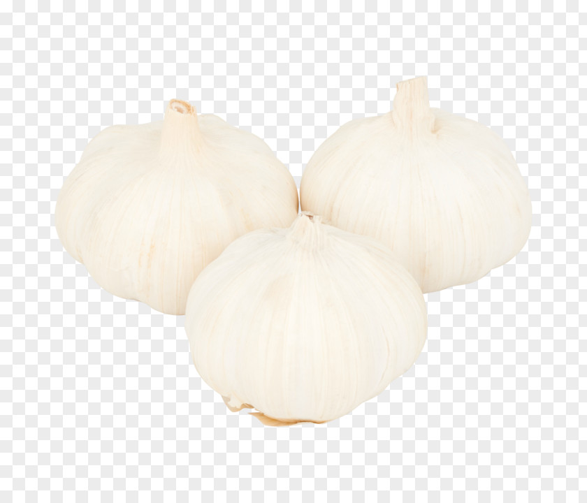 Fresh Garlic Onion PNG