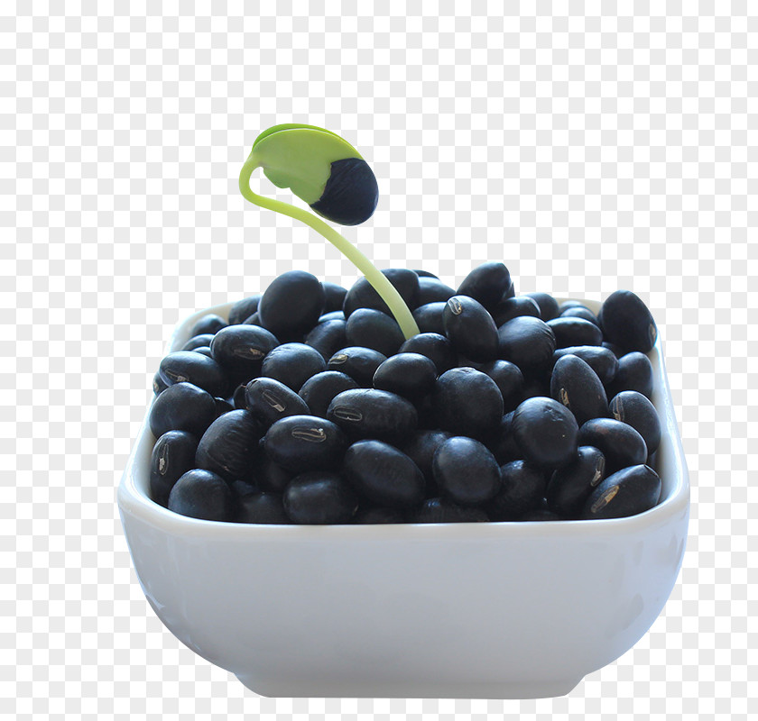 Green Core Black Beans Turtle Bean Rice And Food Blueberry PNG