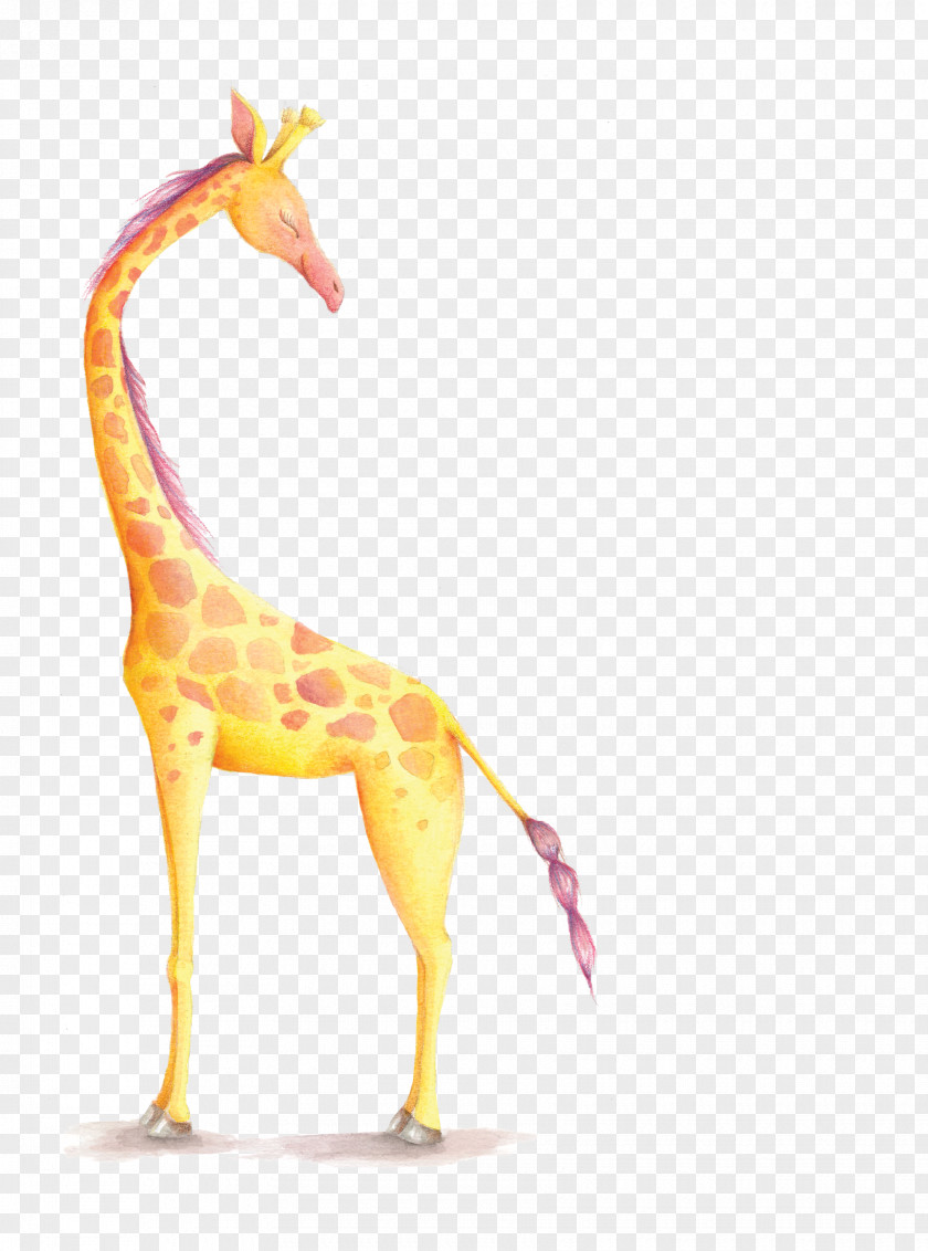 Hand-painted Watercolor Cartoon Giraffe Paper Painting Greeting Card Child Illustration PNG