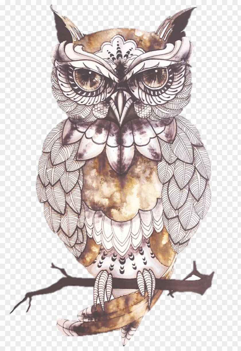 Owl Blue Tattoo Flash Artist PNG