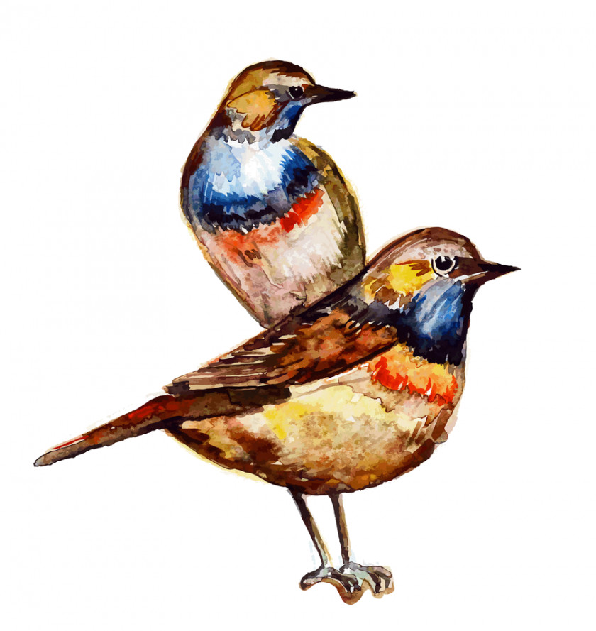 Bird Watercolor Painting PNG