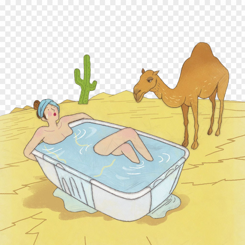 Camels Look At People To Take A Bath Dromedary Illustration PNG