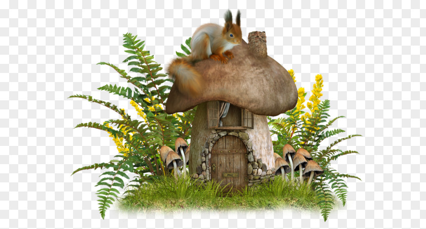 Grass Mushroom House PNG