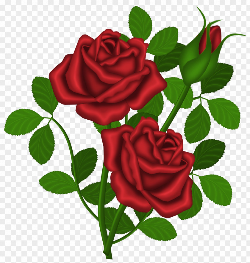 Red Roses Picture Clipart Rose Clip Art PNG
