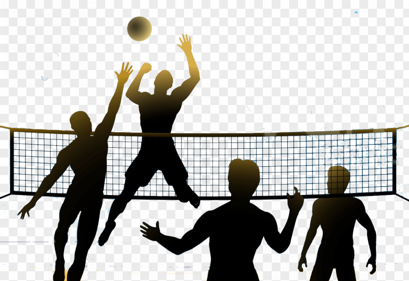 Volleyball Beach Clip Art Image Net PNG