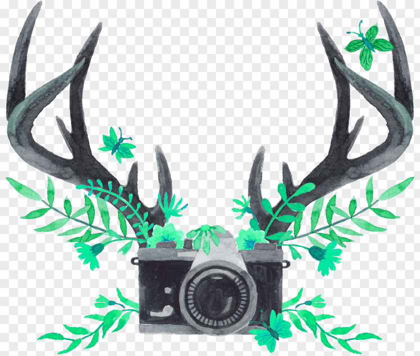Green Simple Antlers Camera Decorative Patterns Antler Watercolor Painting Reindeer Tmall PNG