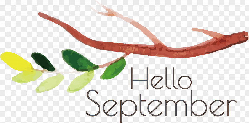 Hello September September PNG