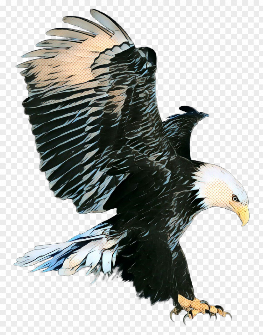 Vulture Falconiformes Sea Bird PNG