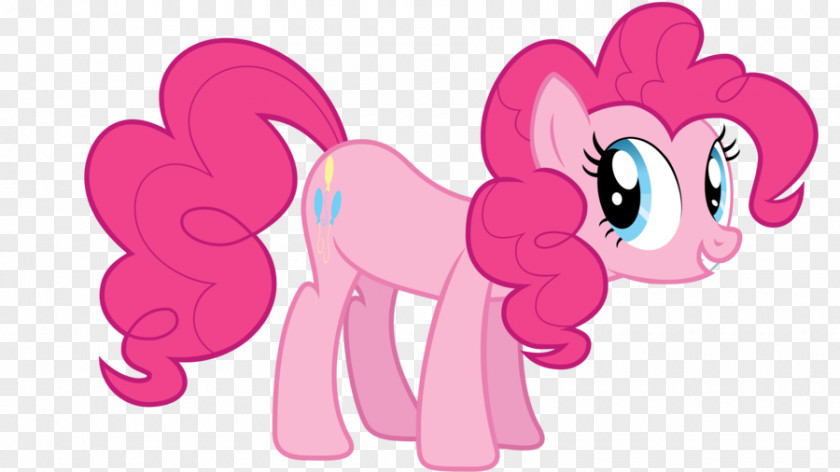 Xz Vector Pinkie Pie Rainbow Dash Applejack Rarity Pony PNG