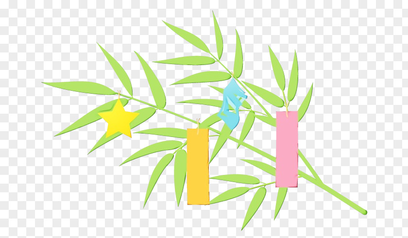 Bamboo Houseplant Watercolor Flower Background PNG