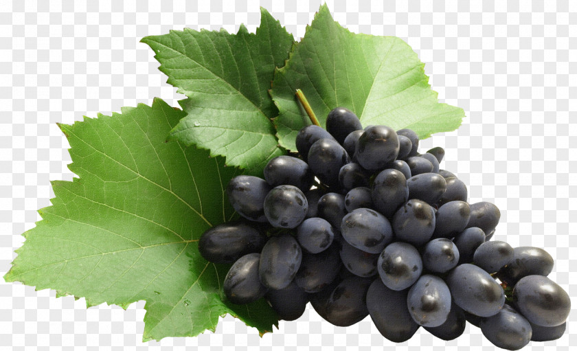 Large Grapes Clipart Grape Clip Art PNG