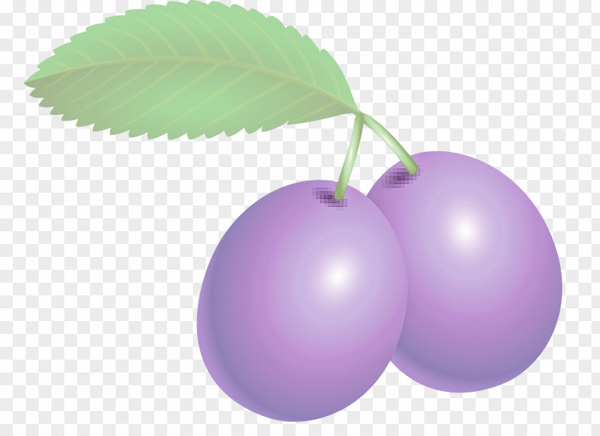 Prune Fruit PNG