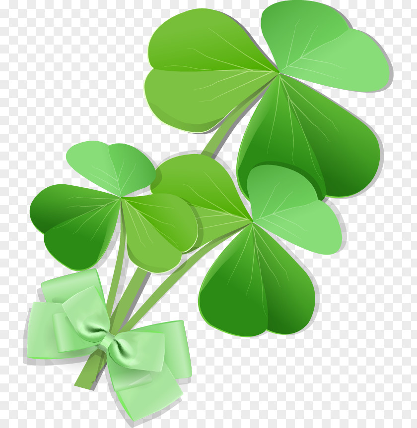 Vector Clover Euclidean PNG