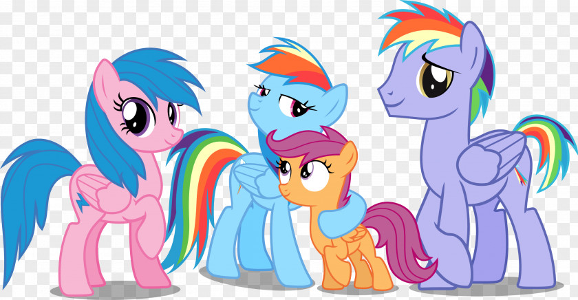During Rainbow Dash My Little Pony: Friendship Is Magic Fandom Twilight Sparkle DeviantArt PNG