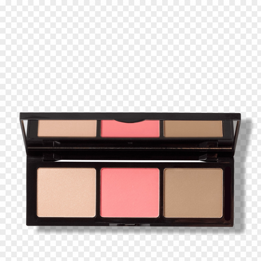 Face Makeup Cosmetics Rouge Highlighter Concealer Bronzer PNG