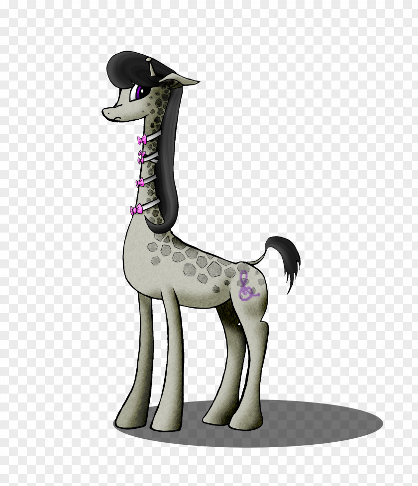 Giraffe Horse Pony Mammal Camel PNG