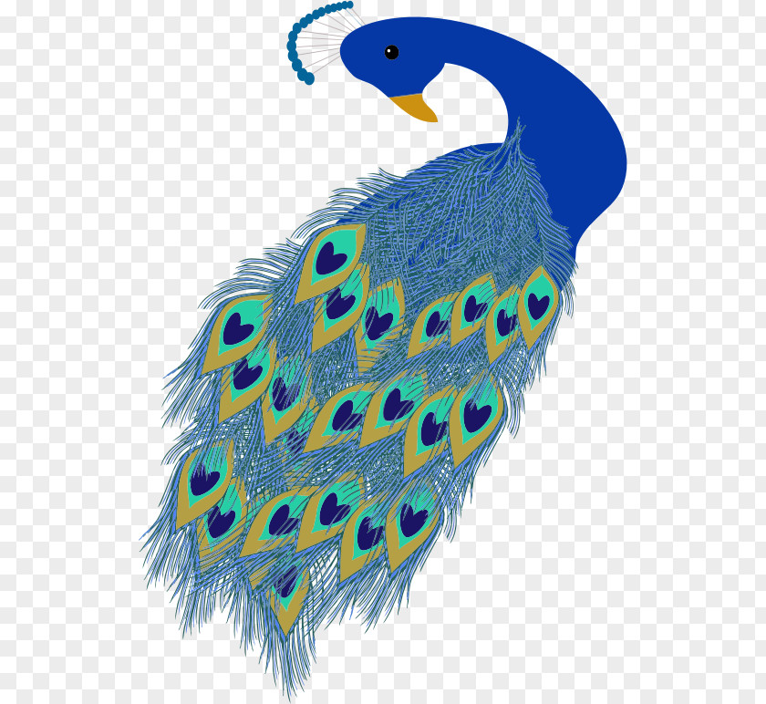 Peacock Clip Art PNG