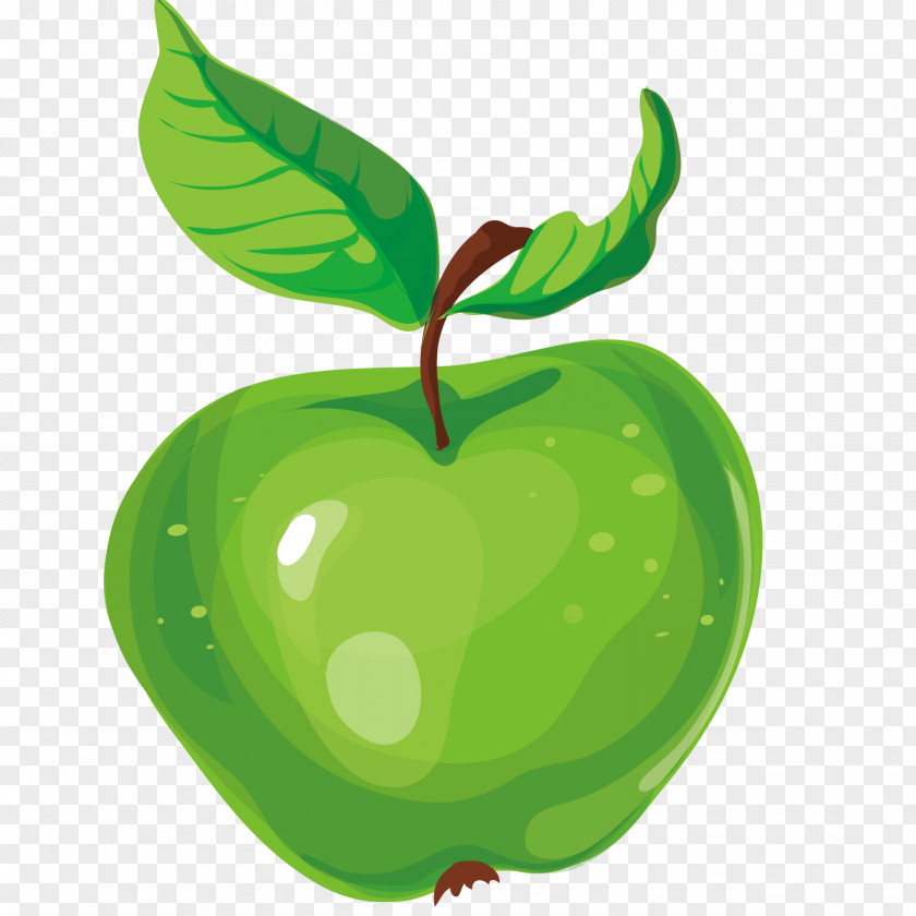 Vector Fruit Apple Granny Smith Illustration PNG
