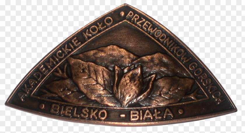 Copper Bronze Medal Artifact PNG