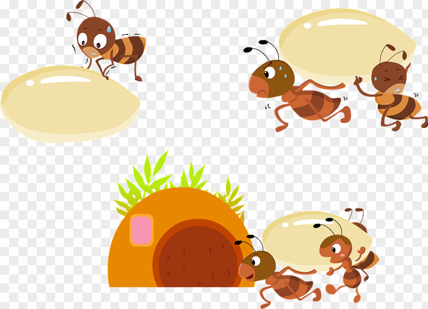 Fire Honey Bee Clip Art Illustration Desktop Wallpaper Computer PNG