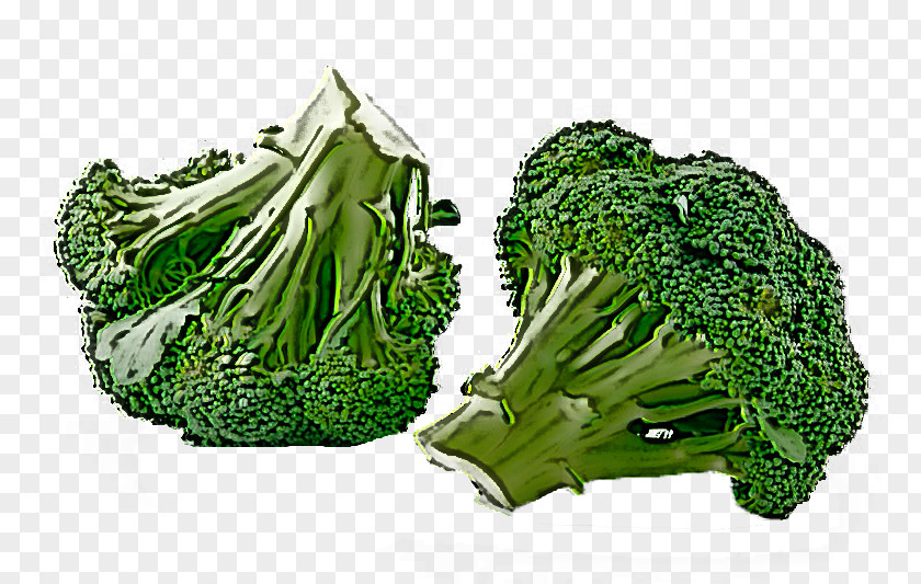 Leaf Vegetable Broccoli Wild Cabbage Plant PNG