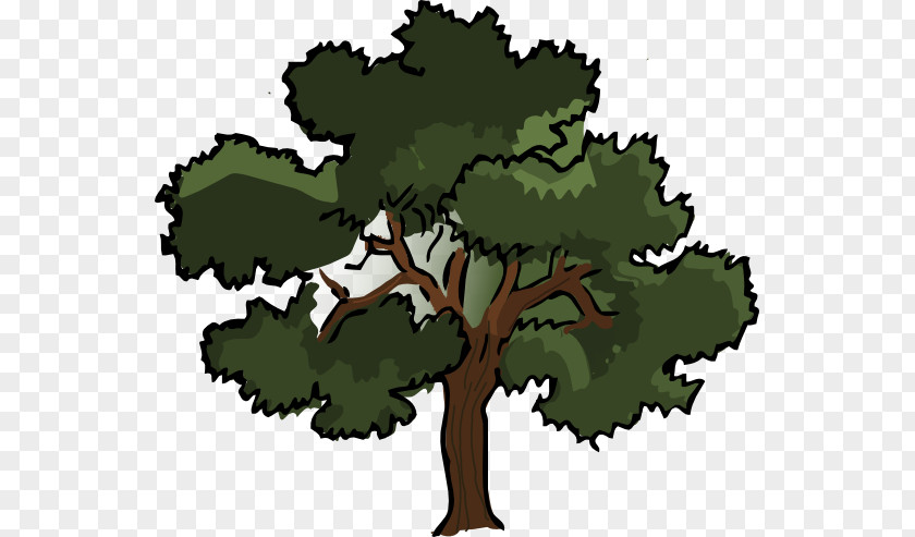 Oak Tree Graphic Southern Live Clip Art PNG