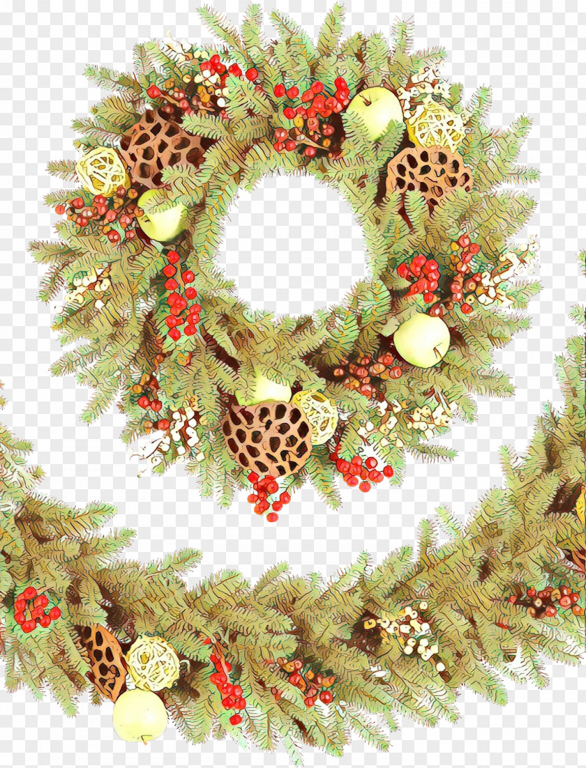 Plant Holly Christmas Decoration Cartoon PNG