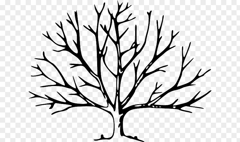 Tree Leaf Branch Oak Clip Art PNG