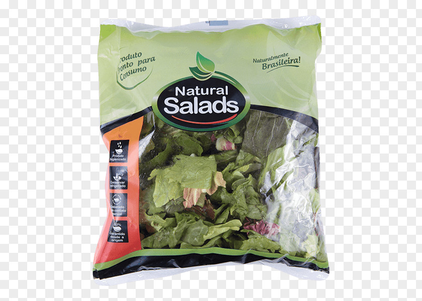 Vegetable Romaine Lettuce Cocido Vegetarian Cuisine Sofrito PNG
