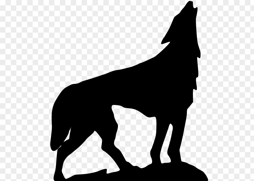 Wolf Vector Dog Drawing Clip Art PNG