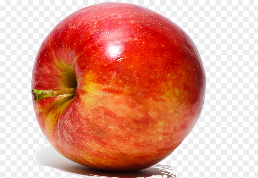 Apple Red Delicious Crisp PNG