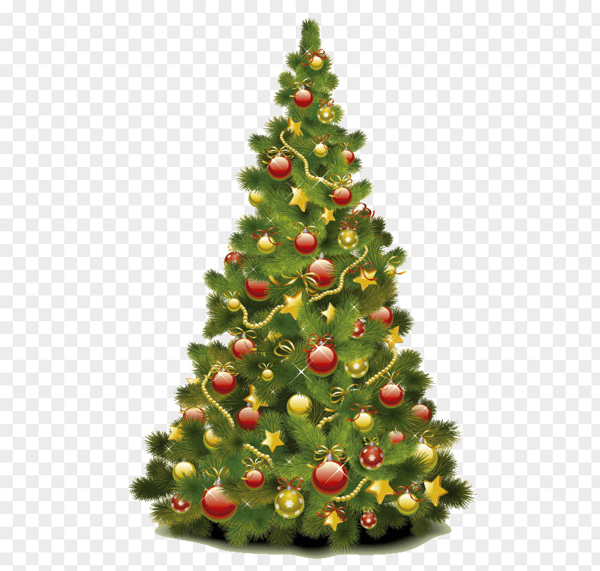 Arboles Christmas Tree Stock Photography Clip Art PNG