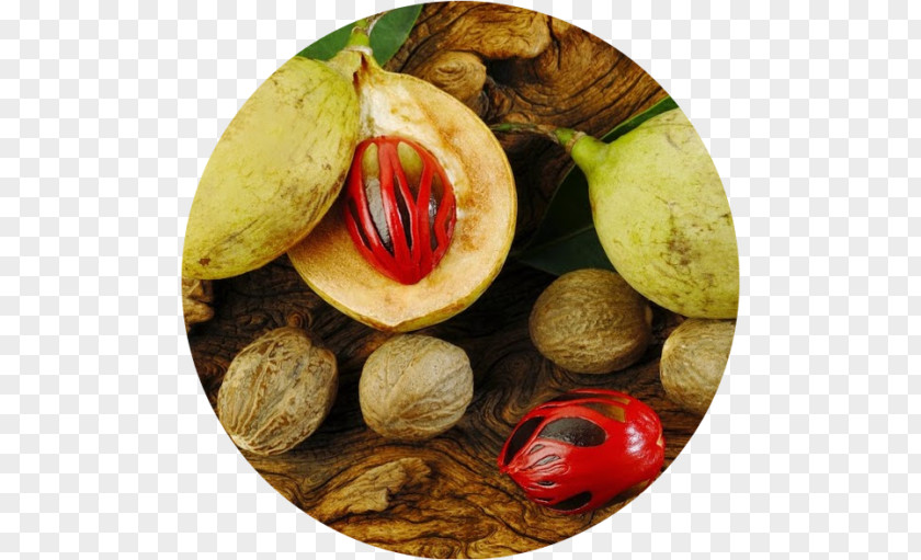 Buah Nutmeg Banda Islands Mace Seed Flavor PNG