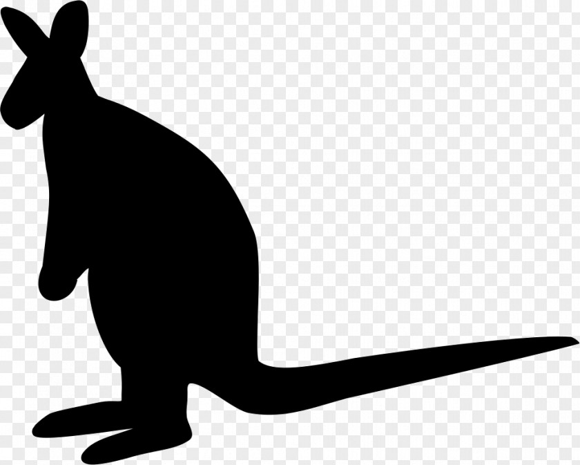 Cat Kangaroo Dog Tail Clip Art PNG