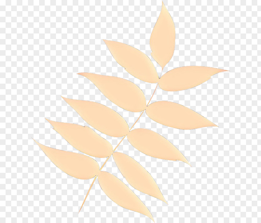 Flower Beige Leaf Plant Clip Art PNG