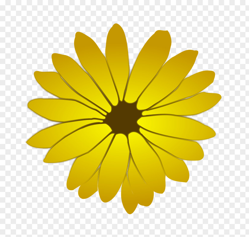 Flower Drawing Clip Art PNG