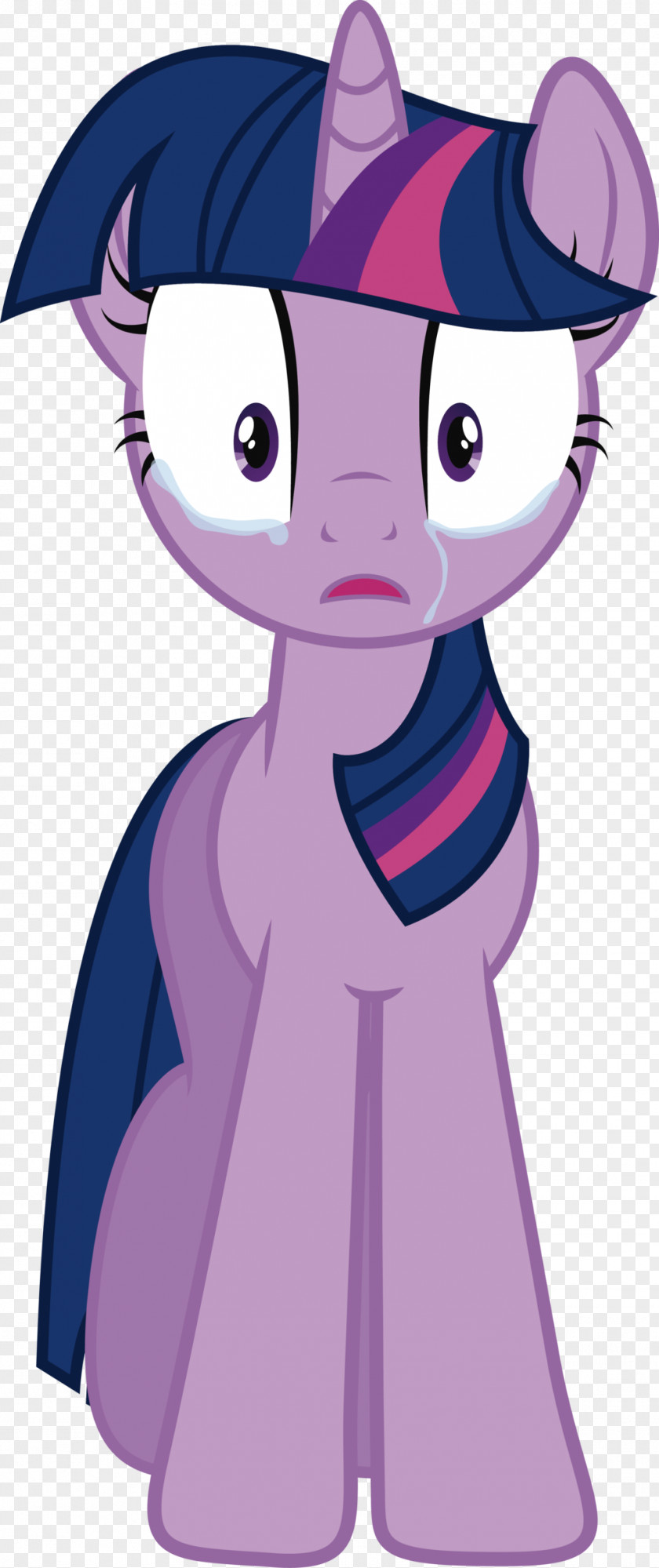 My Little Pony Twilight Sparkle Rarity Applejack Rainbow Dash PNG
