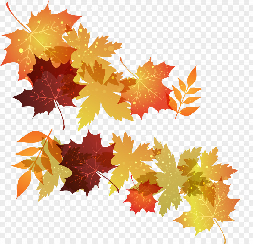 Autumn Leaf Color Image Maple PNG