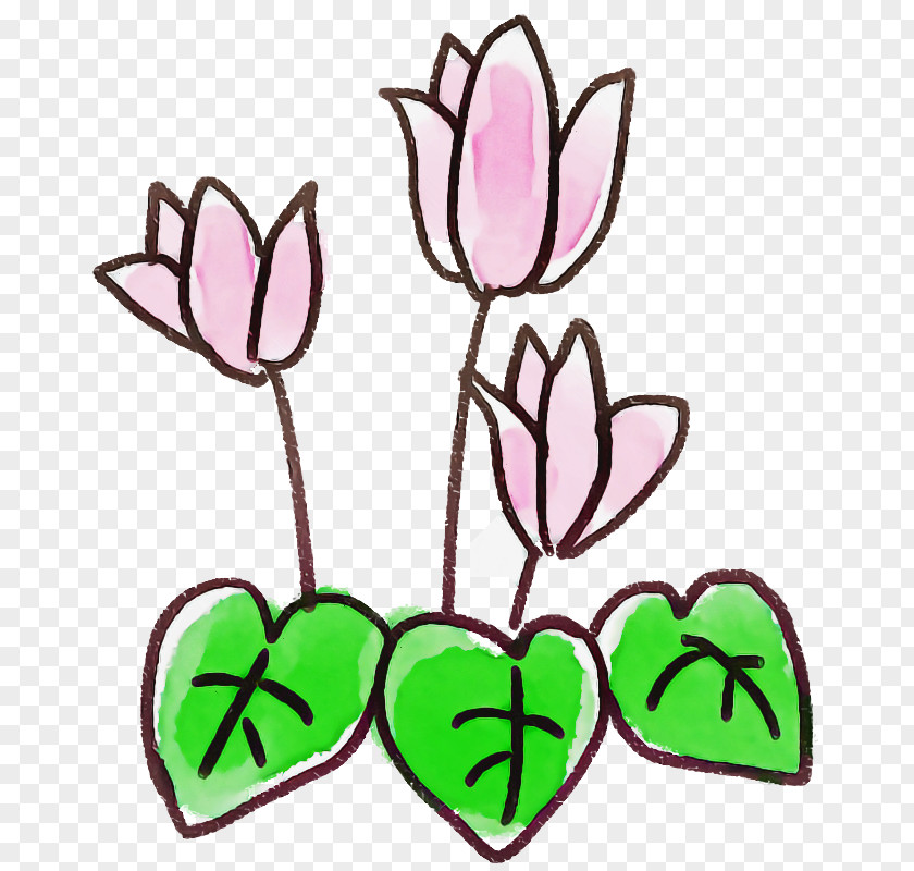 Flower Pink Plant Petal Tulip PNG