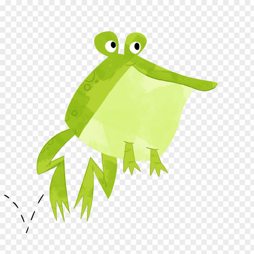 Frog Tree True Reptile PNG