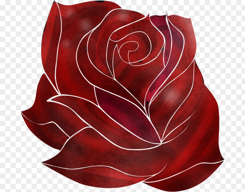 Rose PNG