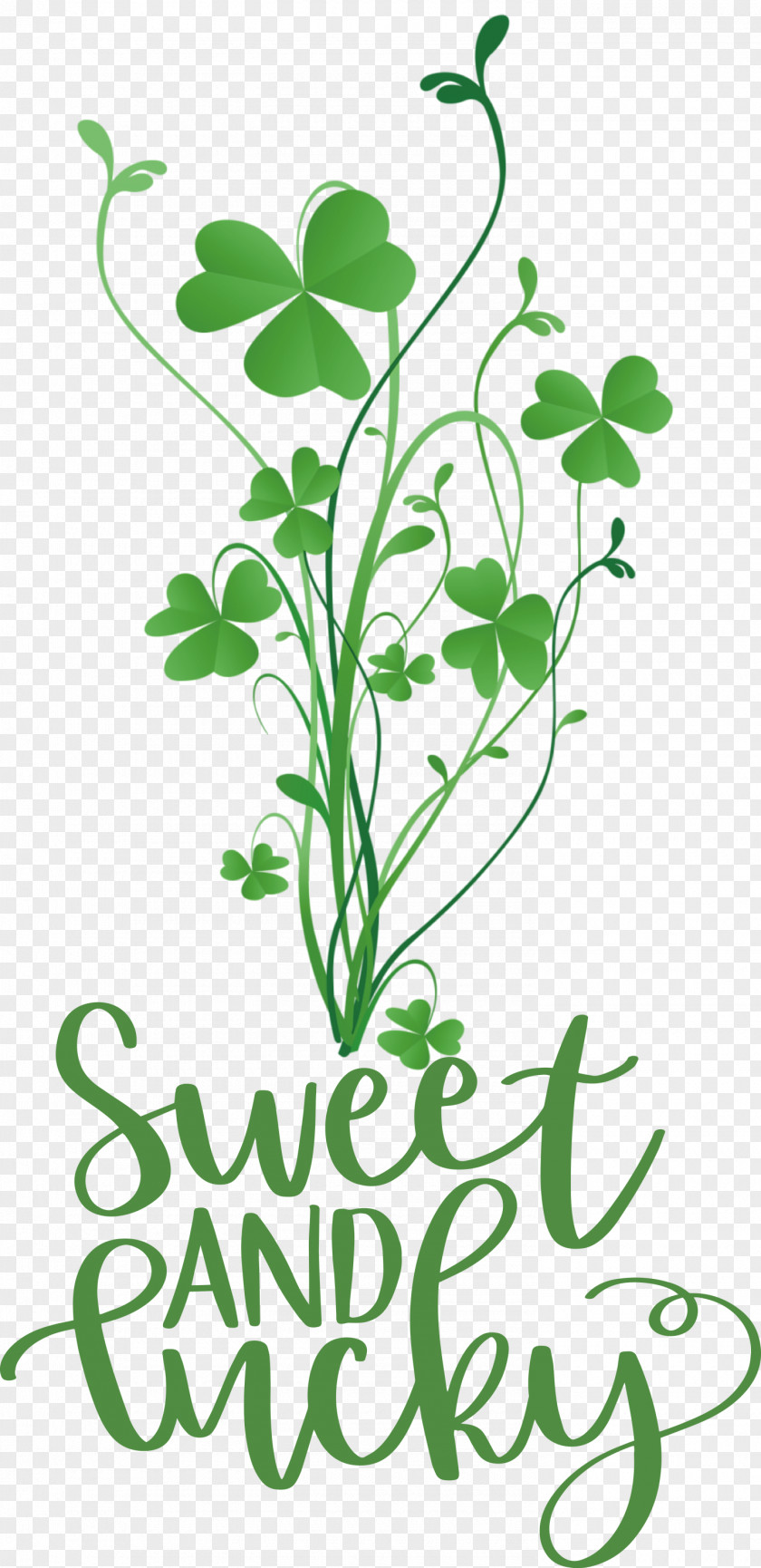 Sweet And Lucky St Patricks Day PNG